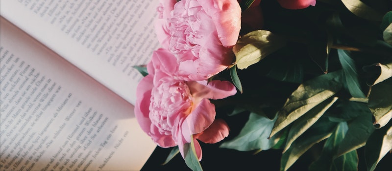 自考越復習成績越差,是不是該放棄了?