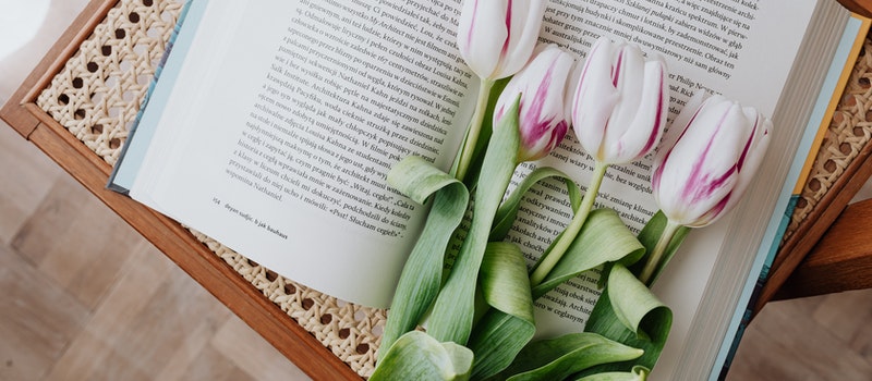 成考和自考到底哪個更好？