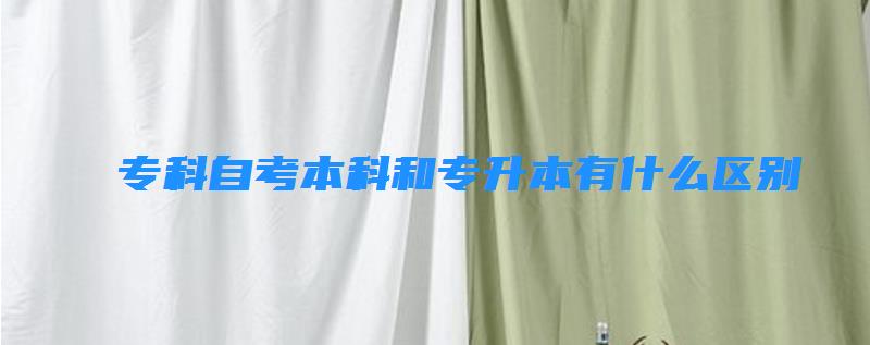 專科自考本科和專升本有什么區(qū)別